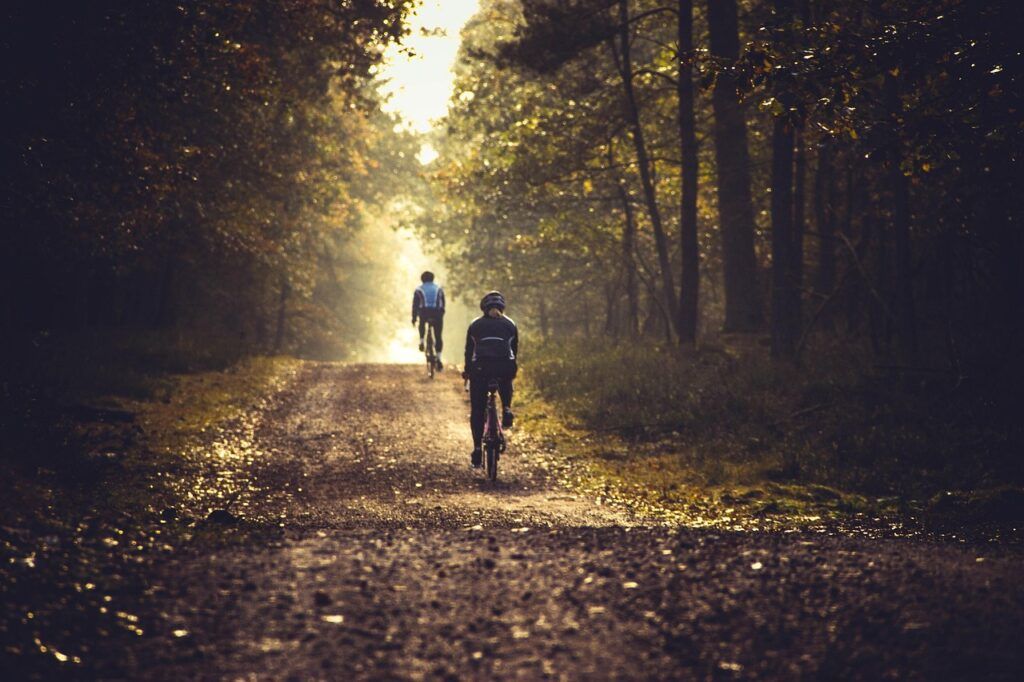 cycling, bicycle, mountainbike, nature, landscape, forest, sun, autumn, cycling, cycling, bicycle, mountainbike, mountainbike, mountainbike, mountainbike, mountainbike